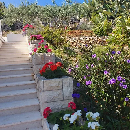 Πανσιόν Solta - Overlooking The Bay Rogač