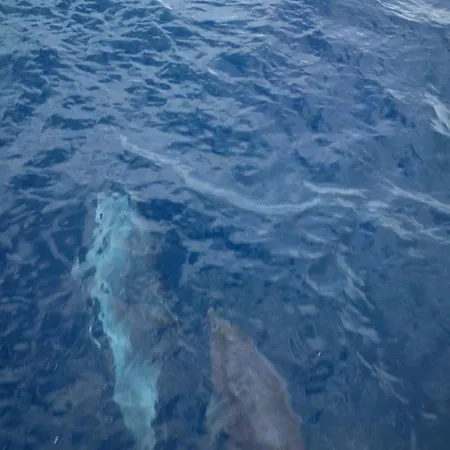 Solta - Overlooking The Bay Πανσιόν 3*