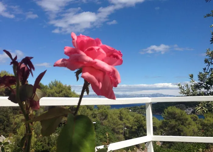 Solta - Overlooking The Bay 3* Rogač