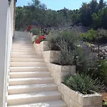 Solta - Overlooking The Bay 3* Rogač