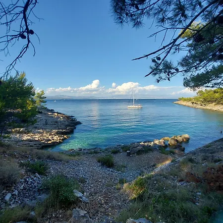 Solta 3* Rogac
