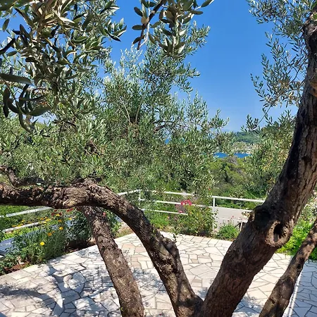 Solta Guest house 3*