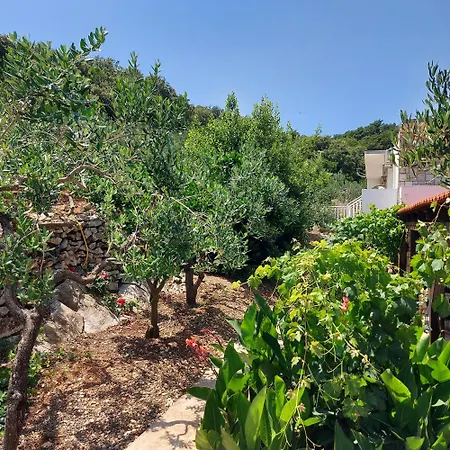 Solta Guest house Rogac