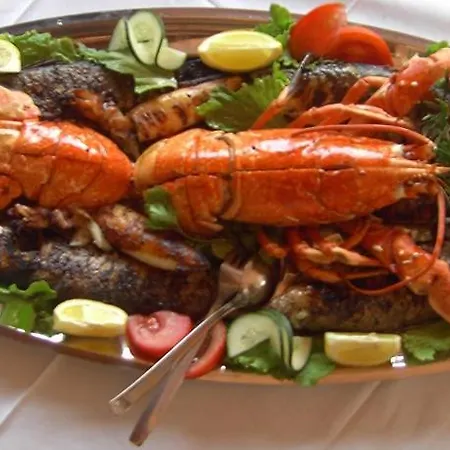 Solta - Overlooking The Bay